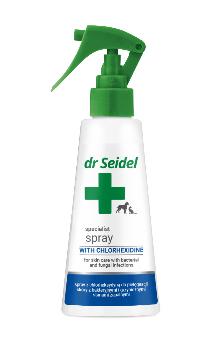 Dr Seidel Spray z chlorheksydyną 100 ml